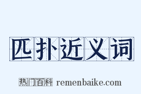 匹扑近义词是什么意思的图片